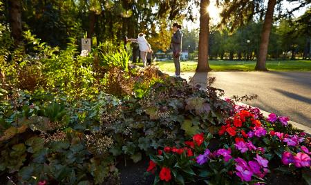 Ох уж эти белки